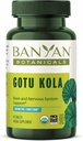 Banyan Botanicals Gotu Kola (Centella Asiatica) – Adaptógeno orgánico &amp; Suplemento Nootropic Brain Support para la memoria y concentración saludables* – 90 Tabletas – Justly Traded Vegan