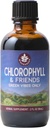 WishGarden Herbs Chlorophyll &amp; Friends - Chlorophyll Liquid Drops with Nettle Leaf, Holy Basil, Moringa Leaf & Peppermint Leaf, Supports increased Energy, Healthy Immune, &amp; Stress Response, 2oz
