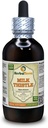 Esteto de leche (Silybum Marianum) Tintura, Semillas orgánicas Extracto líquido (Marca: HerbalTerra, Proudly Made in USA) 4 fl.oz (120 ml)