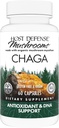 Host Defense Chaga Capsules - Immune System Support Supplement - Chaga Mushroom Capsules for Antioxidant Activity Support - Dietary Mushroom Supplement - 60 Capsules (30 Servings)*