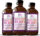 Syrup de Berry de cosecha ecológica de Andi Lynn para niños y adultos – Real Honey Elderberry Syrup for Immune Support - Therapeutic Formula - 4 Fl. Oz (Pack of 3)