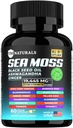 Moss de mar con aceite de semillas negras, vitamina C, Ashwagandha y Turmérica para soporte inmunitario & energía - 60 cápsulas Vegan + caja de píldoras gratis