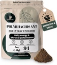 Polvos Jungle Negro Ant Extracto Powder 30:1 Concentración, 94 Serviciones - 5 onzas de Pure Polyrhachis Negro Ant Suplemento, Filler Free Changbai Mountain Ant Tradicional Mens Health Support for Drive