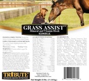 Kalmbach Feeds Gras Assist Mineral and Vitamin Block for Horse, 25 lb