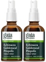 Gaia Herbs Echinacea Goldenseal Propolis Throat Spray- Supports Healthy Immune Response, 1 Fl Oz (Pack of 2)