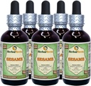 Sesamo (Sesamum Indicum) Glycerite, Semillas secas orgánicas Alcohol-FREE Liquid Extract (Marca: HerbalTerra, Proudly made in USA) 5x2 fl.oz (5x60 ml)