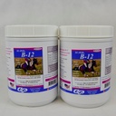 SU-PER B12 for Horses - Equine Vitamins B-12 &amp; B-9 Folic Acid Support Powder - Energy Horse Supplement - 2.5 Pounds, (2 Pack)