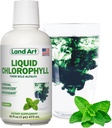Land Art - Liquid Chlorophyll Mint – Cold-Extracted from Wild Non-GMO Alfalfa – Natural Clorofila Liquida – Antioxidante - Detox Supplement – Boost Energy – Alkalizing & Body Odor Neutralizer – 16 floz