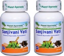 Planeta Ayurveda Sanjivani Vati - Tablas herbales, 100% Natural y Puro - 2 Botellas (Cada Botella Contiene 120 Tablas)