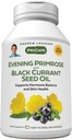 ANDREW LESSMAN Evening Primrose and Black Currant Seed Oil 60 Softgels - Soothes Physical Discomfort and Mood Swings Due to Menstrual Cycle, with Gamma-Linolenic, Omega-6 Fatty Acids, No Additives