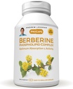 ANDREW LESSMAN Berberine Phospholipid Complex 60 Capsules - Barberry Root Extract. Cápsulas pequeñas fáciles de absorber