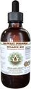 Hawaii Pharm Huang Bo Alcohol-Free Liquid Extract, Huang Bo, Huang Bai, Amur Cork Tree (Phellodendron Chinense) Bark Glycerite Natural Herbal Suplemento 2 oz