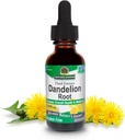 Respuesta de la naturaleza Dandelion Root 2000mg 1oz Extracto ← Promueve Well-Being ← Alcohol " Gluten Free, Non-GMO, Vegan, No Preservatives or Artificial Flavors