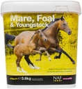 NAF Mare, Foal " Youngstock