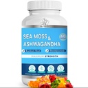 BIO VITALICA Sea Moss Ashwagandha Gummies - Organic Irish Seamoss " Ashwagandha Root Supplements for Supporting Energy " Immunity for Men " Women, 60 Vegan Gummies