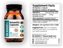 DR WAKDE'S Boswellia Capsules (Salai Guggul, Shallaki), 60 Veg Caps, Suplemento de base vegetal, Todo Natural, Vegan