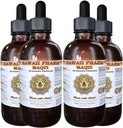 HawaiiPharm Maqui Liquid Extract, Organic Maqui (Aristotelia chilensis) Tincture Suplemento 4x4 oz