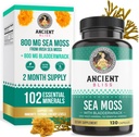 Antiguo Bliss Orgánica del Mar Irlandés Moss Pills - Dr Sebi Wildcrafted Seamoss Capsules peru Thyroid, Healthy Skin & Gut Support Silencio 120 Capsules