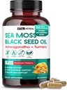 Sea Moss with Black Seed Oil, Ashwagandha, Turmeric & Moringa – Immune, Joint & Skin Support Supplement – 60 Capsules – Vital Herbal – Lab-Tested, Non-GMO, Made in USA