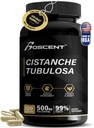 Premium Cistanche Tubulosa Extracto 500mg (120 Capsules) - 50% Echinacosides,10% Acteosides - Natural Nootropic for Stamina, Immunity and Memory - No Fillers, Equilibrio hormonal - Strength Booster for Men