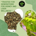 Stone Breaker Chanca Piedra Tea - Leaf Loose w / 35 Bolsas de té - Natural Kidney Cleanse - Kidney Stone Crusher & Gallblader Detox de Perú (Phyllanthus niruri)