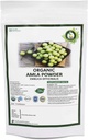 R V Esencial Amla Polvo orgánico 100gm/ 3.53oz/ 0.22lb- Emblica Officinalis Amla Polvo de frutas para el cabello USDA Suplemento herbal ayurvédico certificado orgánico en bolsa de cierre de zinc resealable y reutilizable